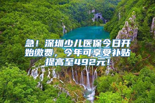 急！深圳少儿医保今日开始缴费，今年可享受补贴提高至492元！