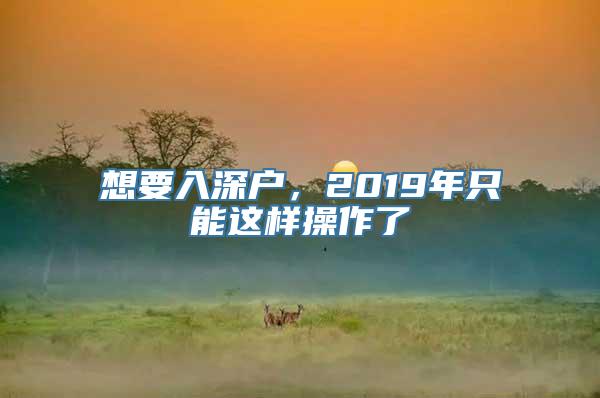 想要入深户，2019年只能这样操作了