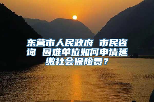 东营市人民政府 市民咨询 困难单位如何申请延缴社会保险费？