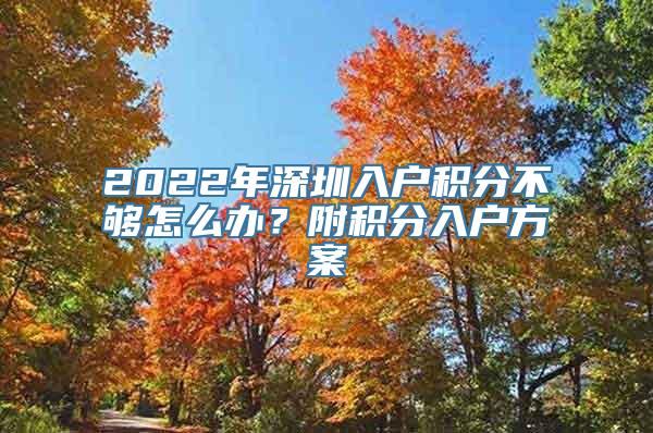 2022年深圳入户积分不够怎么办？附积分入户方案