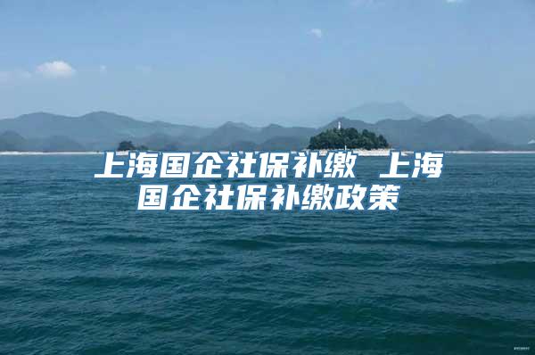 上海国企社保补缴 上海国企社保补缴政策