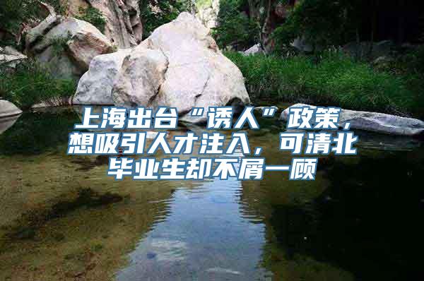 上海出台“诱人”政策，想吸引人才注入，可清北毕业生却不屑一顾