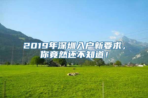 2019年深圳入户新要求，你竟然还不知道！