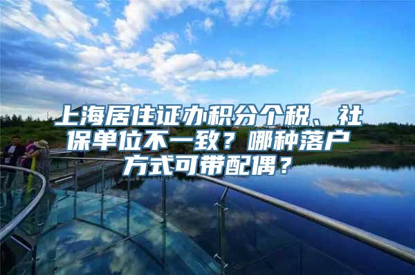 上海居住证办积分个税、社保单位不一致？哪种落户方式可带配偶？