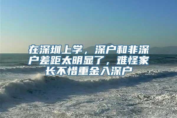 在深圳上学，深户和非深户差距太明显了，难怪家长不惜重金入深户