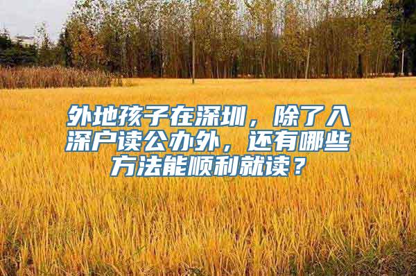 外地孩子在深圳，除了入深户读公办外，还有哪些方法能顺利就读？