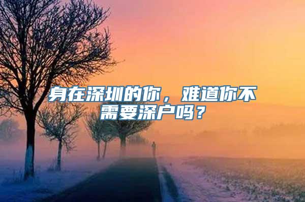 身在深圳的你，难道你不需要深户吗？