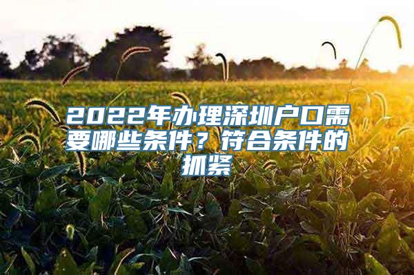 2022年办理深圳户口需要哪些条件？符合条件的抓紧