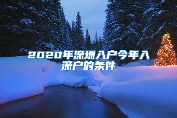 2020年深圳入户今年入深户的条件