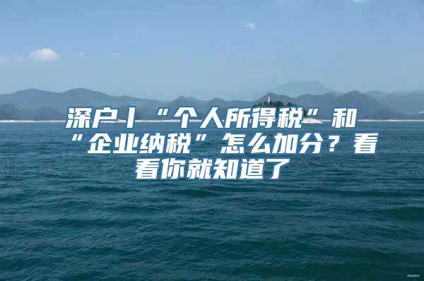 深户丨“个人所得税”和“企业纳税”怎么加分？看看你就知道了