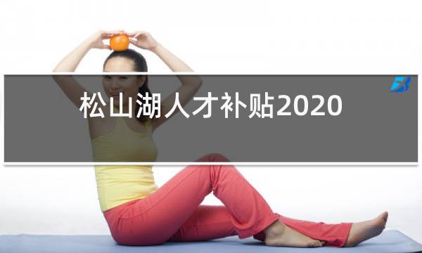 松山湖人才补贴2020年12月最后一批什么时候拨款图片