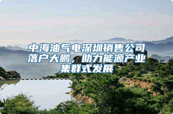 中海油气电深圳销售公司落户大鹏，助力能源产业集群式发展