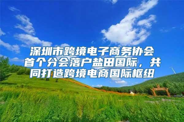 深圳市跨境电子商务协会首个分会落户盐田国际，共同打造跨境电商国际枢纽