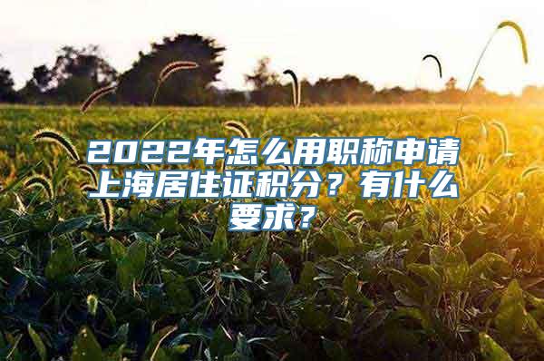 2022年怎么用职称申请上海居住证积分？有什么要求？