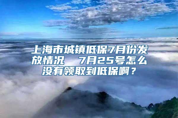 上海市城镇低保7月份发放情况  7月25号怎么没有领取到低保啊？