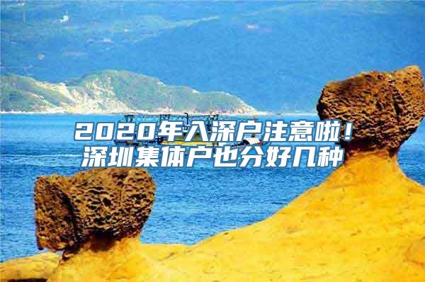 2020年入深户注意啦！深圳集体户也分好几种