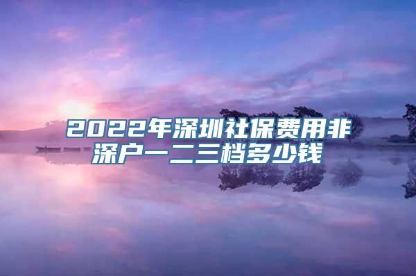 2022年深圳社保费用非深户一二三档多少钱