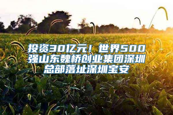 投资30亿元！世界500强山东魏桥创业集团深圳总部落址深圳宝安