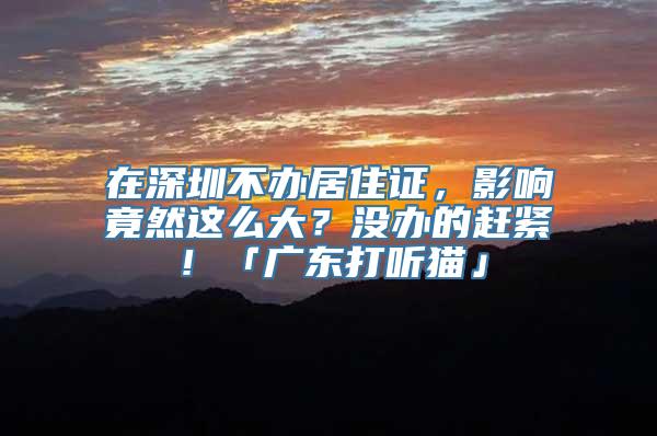 在深圳不办居住证，影响竟然这么大？没办的赶紧！「广东打听猫」