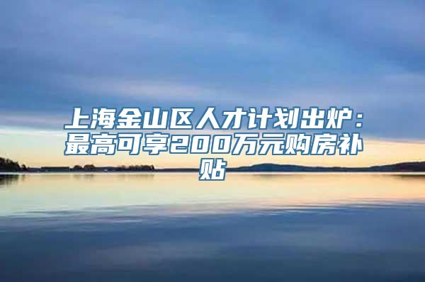 上海金山区人才计划出炉：最高可享200万元购房补贴