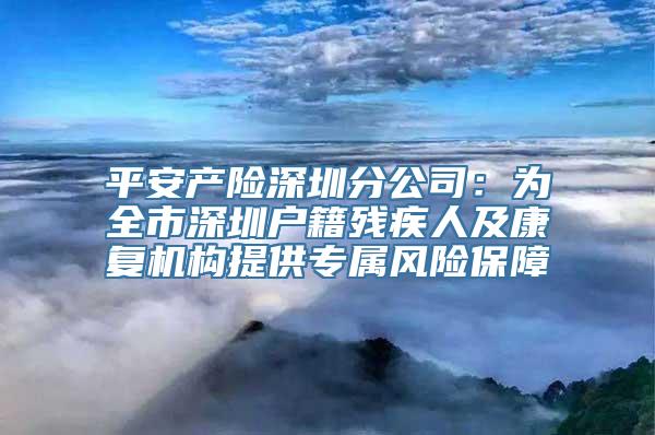 平安产险深圳分公司：为全市深圳户籍残疾人及康复机构提供专属风险保障