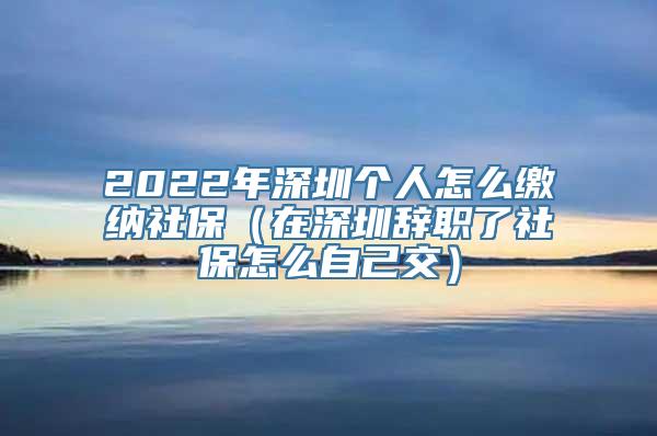 2022年深圳个人怎么缴纳社保（在深圳辞职了社保怎么自己交）