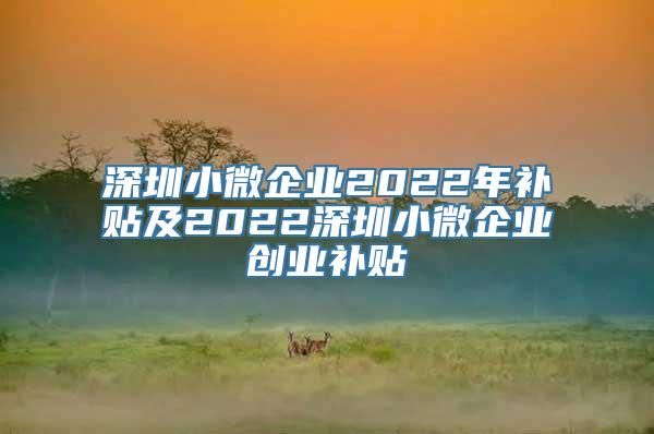 深圳小微企业2022年补贴及2022深圳小微企业创业补贴