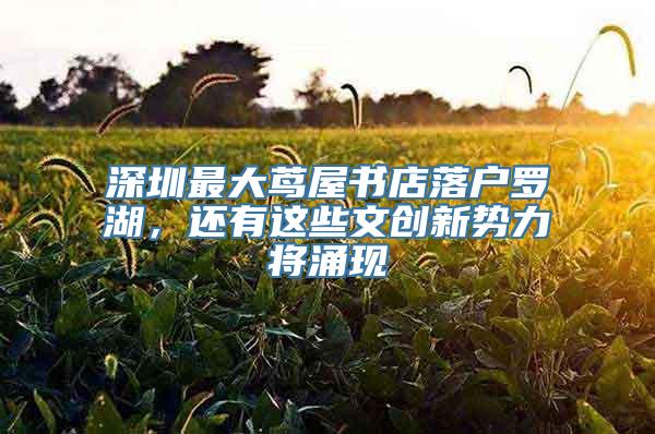 深圳最大茑屋书店落户罗湖，还有这些文创新势力将涌现