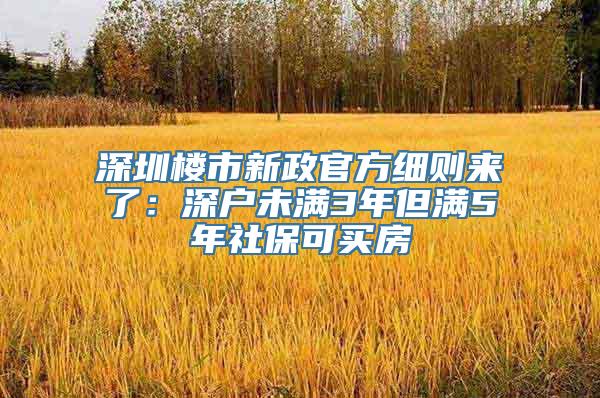 深圳楼市新政官方细则来了：深户未满3年但满5年社保可买房