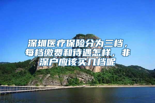 深圳医疗保险分为三档，每档缴费和待遇怎样，非深户应该买几档呢