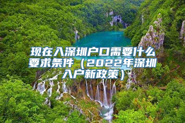 现在入深圳户口需要什么要求条件（2022年深圳入户新政策）