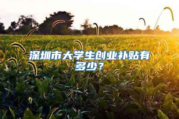 深圳市大学生创业补贴有多少？