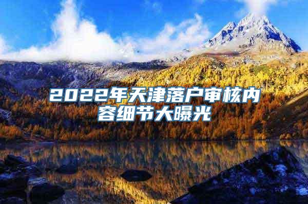 2022年天津落户审核内容细节大曝光