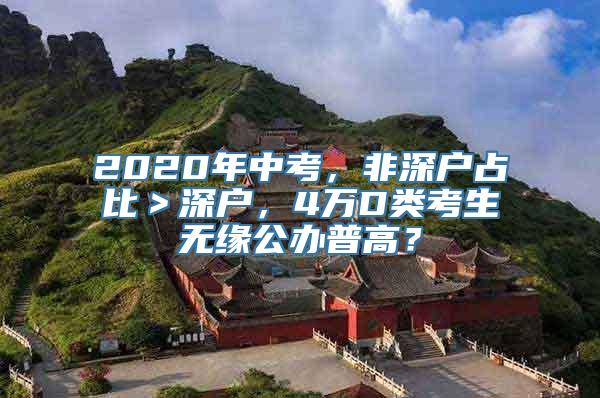 2020年中考，非深户占比＞深户，4万D类考生无缘公办普高？