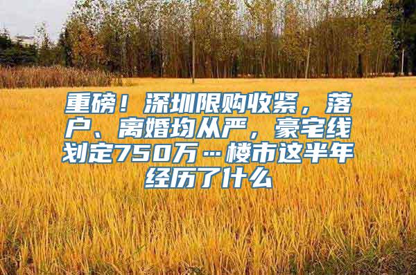 重磅！深圳限购收紧，落户、离婚均从严，豪宅线划定750万…楼市这半年经历了什么