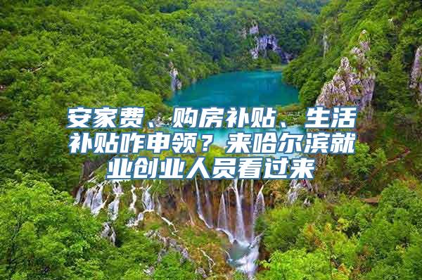 安家费、购房补贴、生活补贴咋申领？来哈尔滨就业创业人员看过来