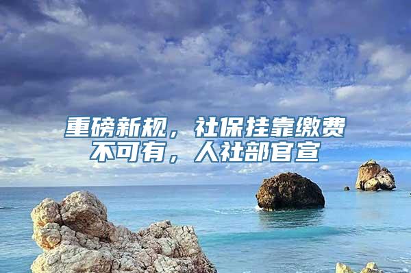 重磅新规，社保挂靠缴费不可有，人社部官宣