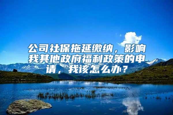 公司社保拖延缴纳，影响我其他政府福利政策的申请，我该怎么办？