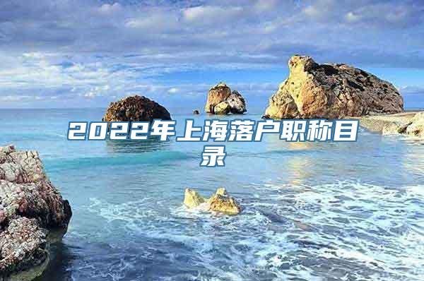 2022年上海落户职称目录