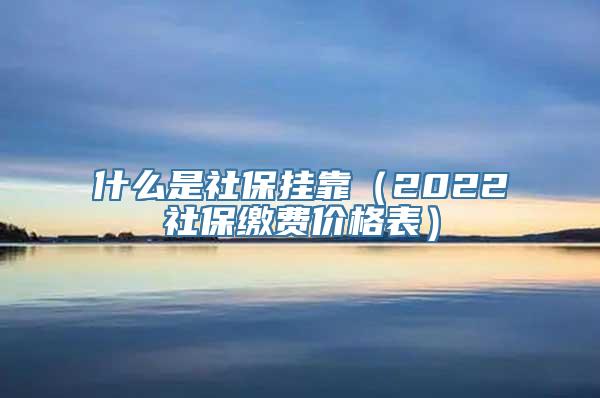 什么是社保挂靠（2022社保缴费价格表）