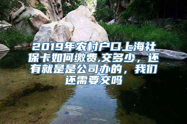 2019年农村户口上海社保卡如何缴费,交多少，还有就是是公司办的，我们还需要交吗