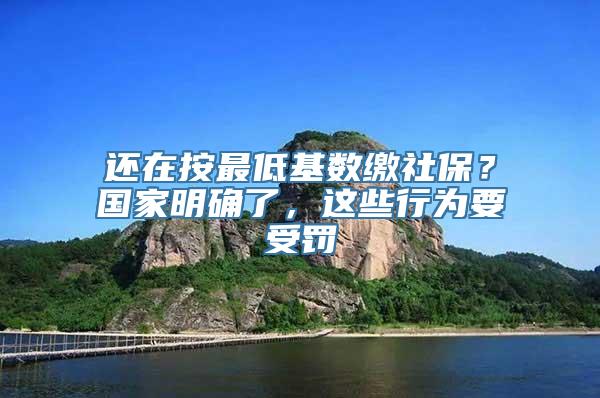 还在按最低基数缴社保？国家明确了，这些行为要受罚