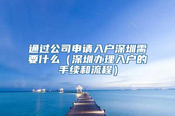 通过公司申请入户深圳需要什么（深圳办理入户的手续和流程）