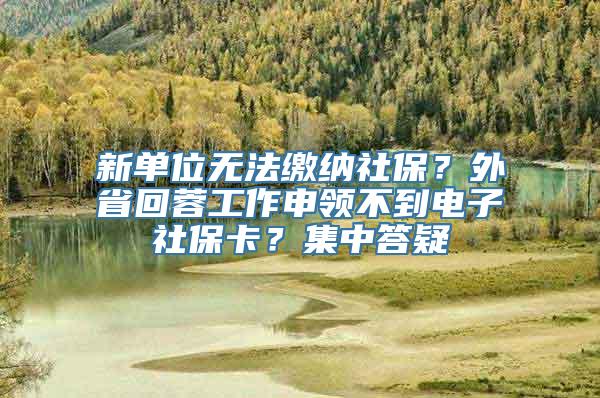 新单位无法缴纳社保？外省回蓉工作申领不到电子社保卡？集中答疑