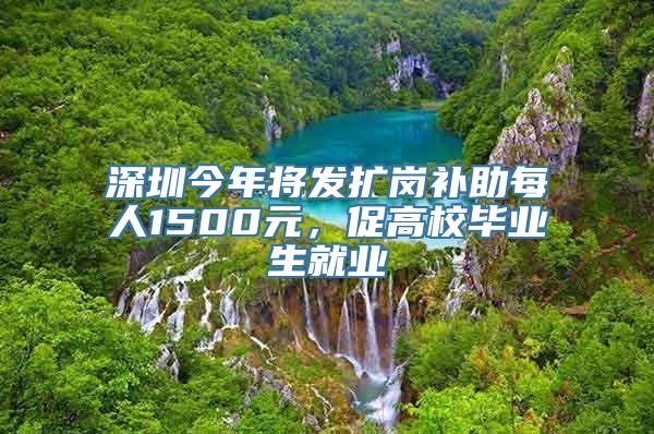 深圳今年将发扩岗补助每人1500元，促高校毕业生就业