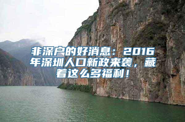 非深户的好消息：2016年深圳人口新政来袭，藏着这么多福利！