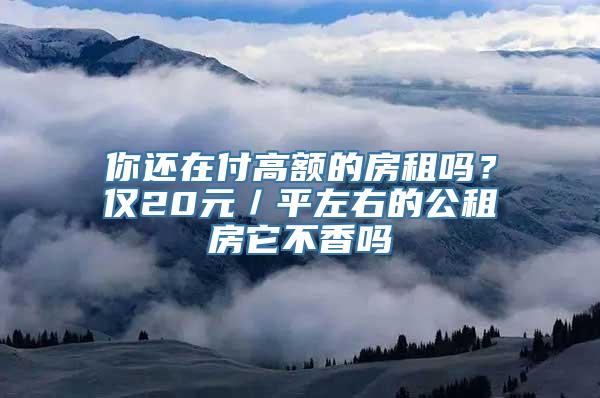 你还在付高额的房租吗？仅20元／平左右的公租房它不香吗