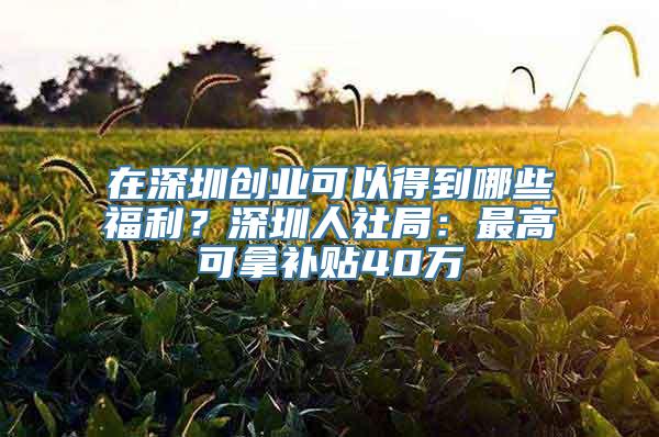 在深圳创业可以得到哪些福利？深圳人社局：最高可拿补贴40万