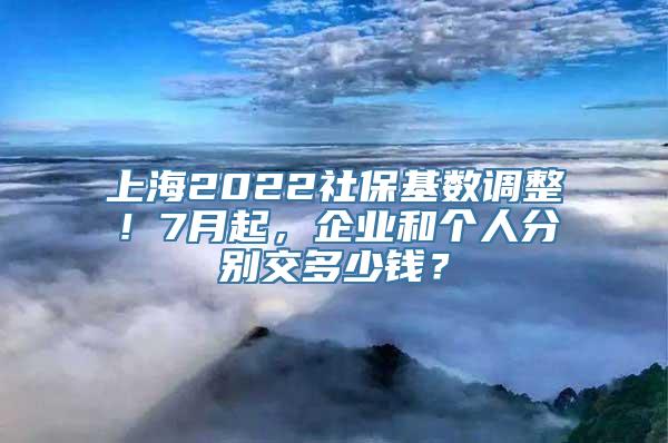 上海2022社保基数调整！7月起，企业和个人分别交多少钱？