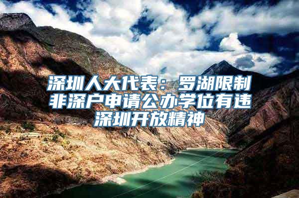 深圳人大代表：罗湖限制非深户申请公办学位有违深圳开放精神